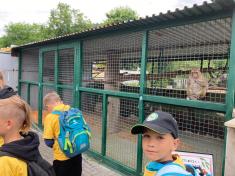 Ozdravný pobyt 2., 3. a 4. třídy