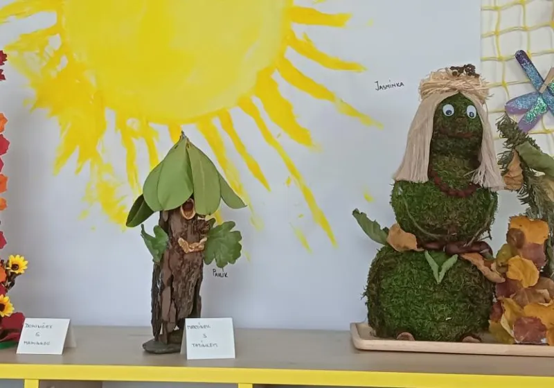 IMG20251113101016538a