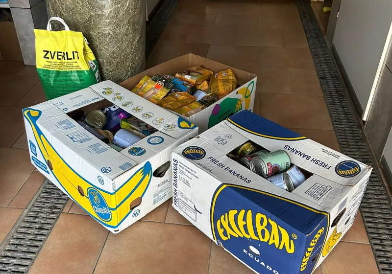 Sbírka pro Moravskoslezský spolek