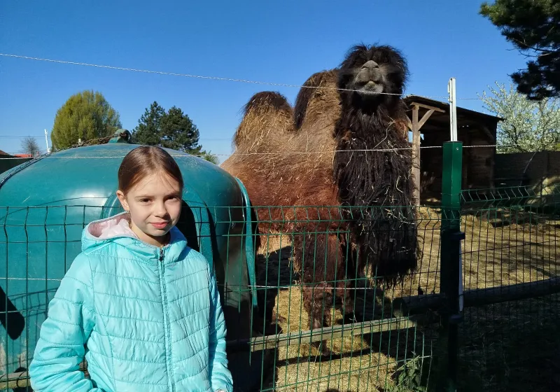Minizoopark TODUŠ 05