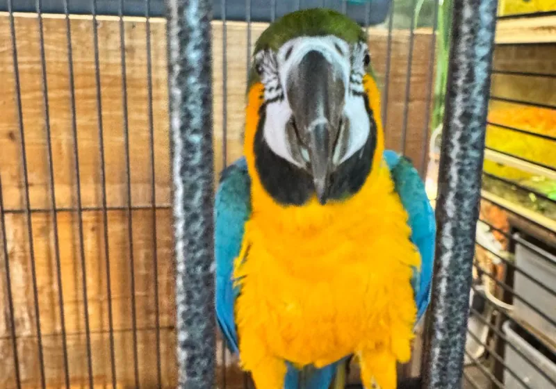 Minizoopark TODUŠ 18