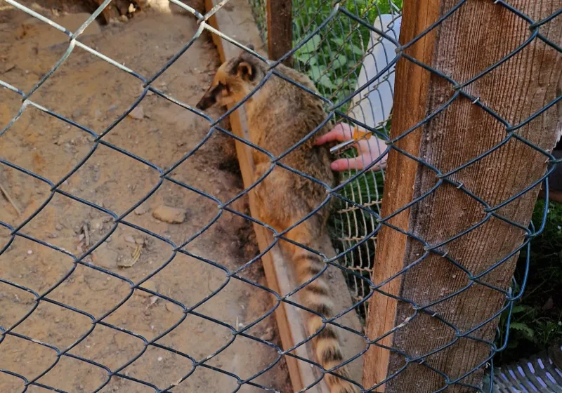 Minizoopark TODUŠ 07
