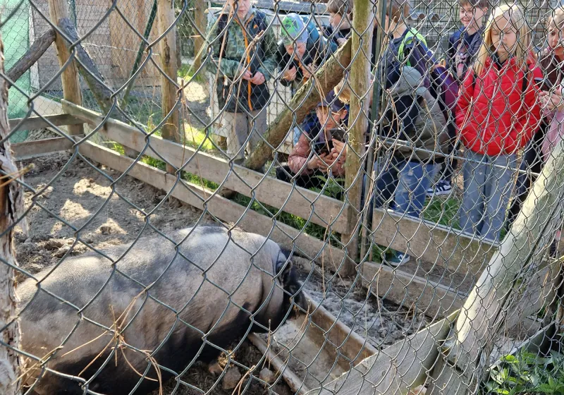 Minizoopark TODUŠ 10