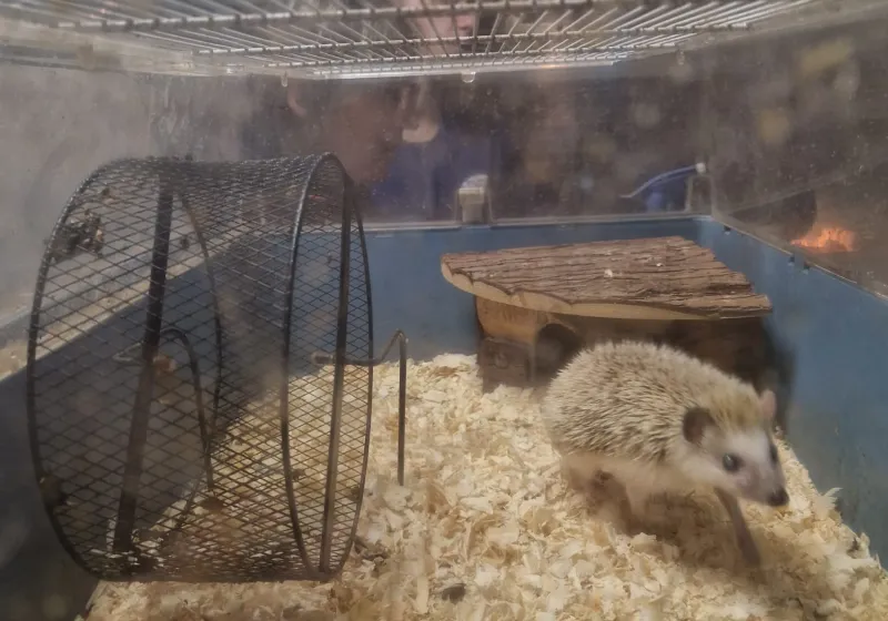 Minizoopark TODUŠ 21