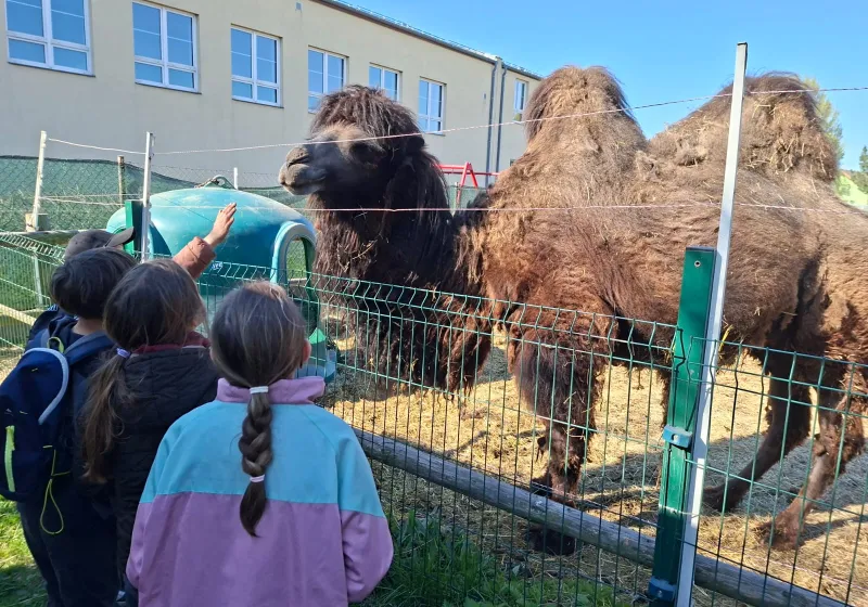 Minizoopark TODUŠ 04