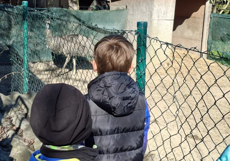 Minizoopark TODUŠ 12