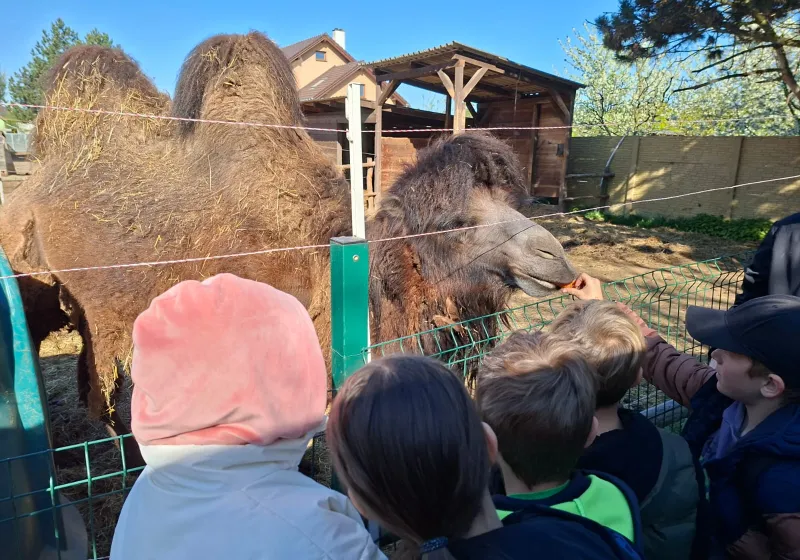 Minizoopark TODUŠ 03