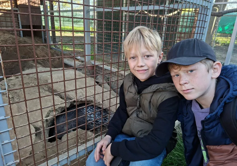 Minizoopark TODUŠ 13
