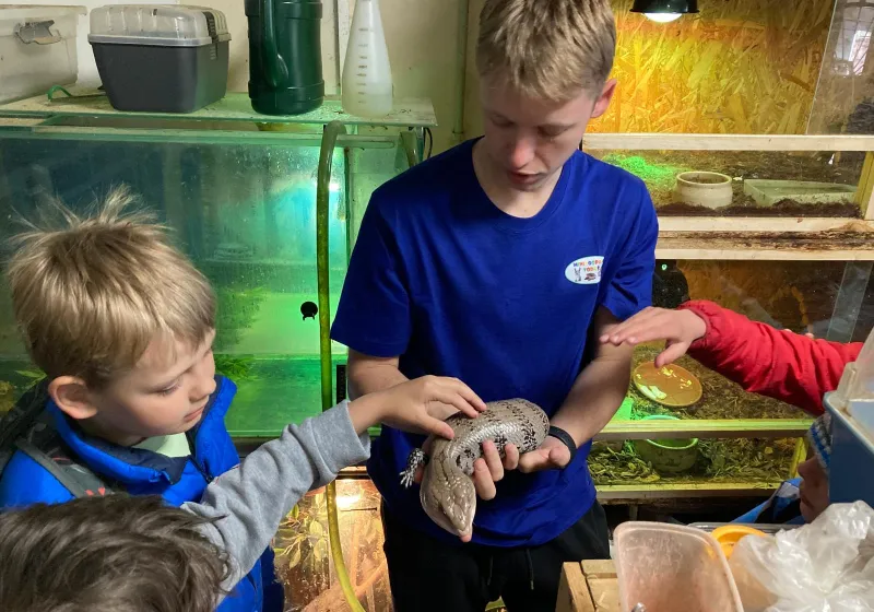 Minizoopark TODUŠ 28