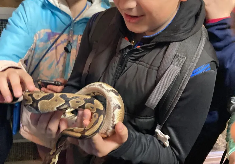 Minizoopark TODUŠ 29